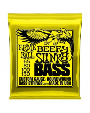 Ernie Ball -