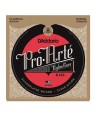 D'Addario -