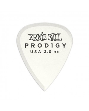 Ernie Ball -