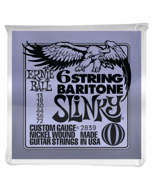 Ernie Ball -