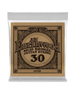 Ernie Ball -