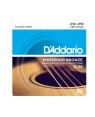 D'Addario -