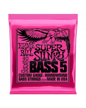 Ernie Ball -