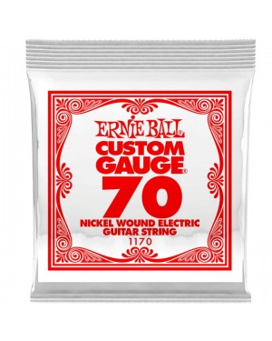 Ernie Ball -