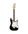 Fender -