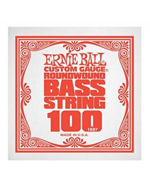 Ernie Ball -