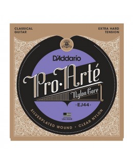 D'Addario -