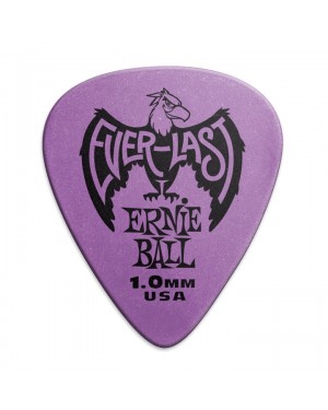 Ernie Ball -