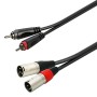 SOUNDSATION Go-Link 2 RCA male - 2 XLR male 3.00m Adapter Cable