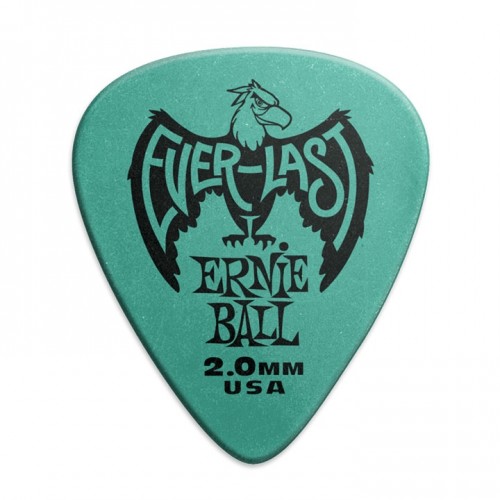 Ernie Ball -