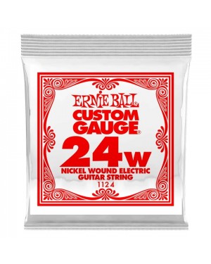 Ernie Ball -