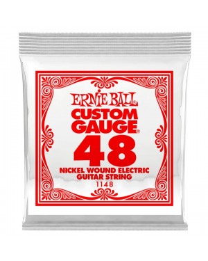 Ernie Ball -