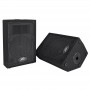 PEAVEY PVi 10 50 Watt RMS Passive Speakers (Pair)