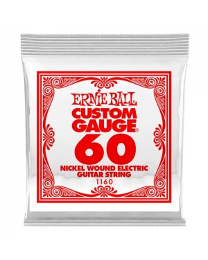 Ernie Ball -