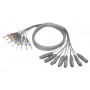 SUNRISE 8 XLR Female - 8 JACK Male Stereo Multi Cable