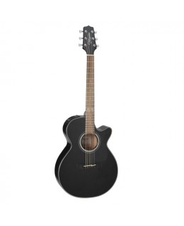 Takamine -