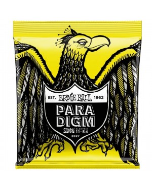 Ernie Ball -