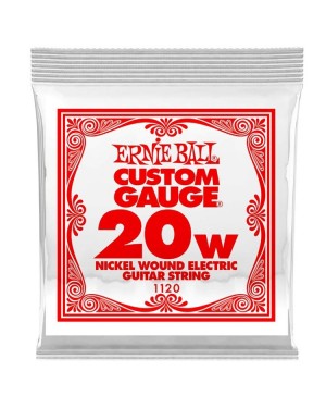 Ernie Ball -