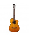 Takamine -