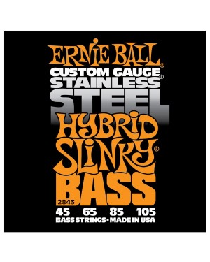 Ernie Ball -