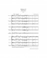 Barenreiter -