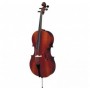 PALATINO N.75-2/4 & Case Cello 1/2